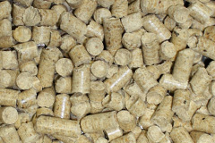 Mackerels Common biomass boiler costs